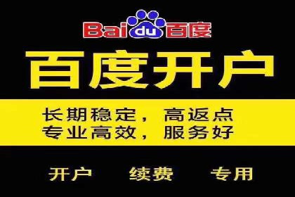 百度竞价运营案例剖析：提升转化率的秘诀
